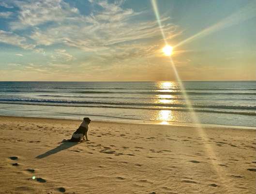 Lieblingsbild-Beitrag-Bild