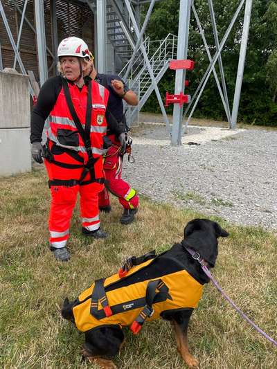 Wo bekommt man ein professionelles Abseilgeschirr?-Beitrag-Bild