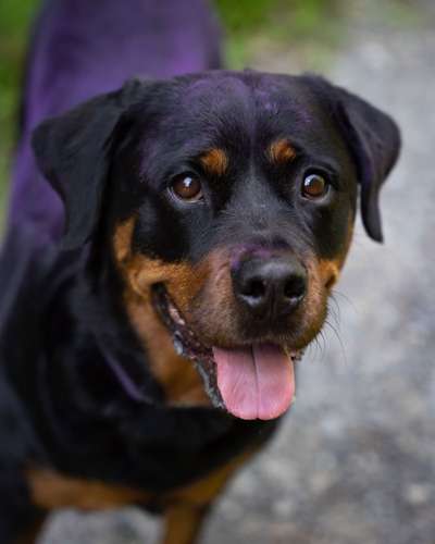 Handy-Foto Challange Nr. 10-Beitrag-Bild