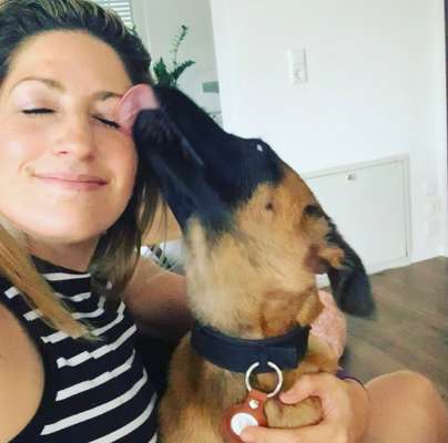 Alles rund um den Schäferhund, diskutieren erwünscht.-Beitrag-Bild