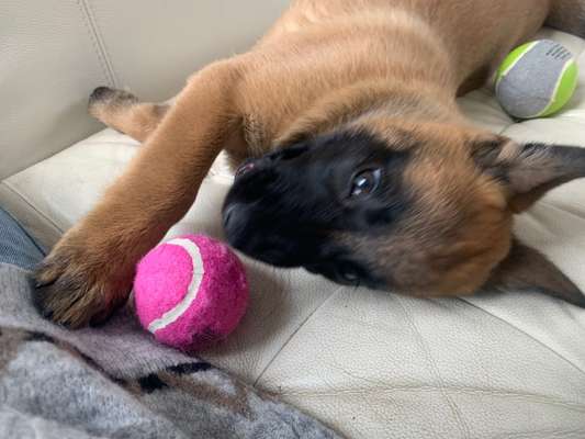 Sie werden so schnell erwachsen ...-Beitrag-Bild