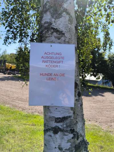 Giftköder-Giftköder-Bild