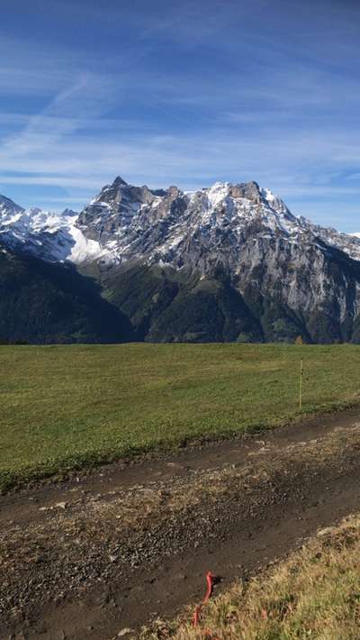 Die wunderschöne Welt mit Hund.-Beitrag-Bild