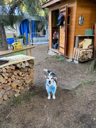 Lieblingsbild-Beitrag-Bild