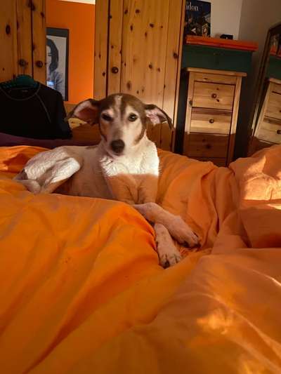 Lieblingsbild-Beitrag-Bild