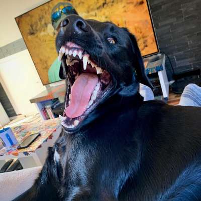 Lustige Grimassen & verrückte Posen-Beitrag-Bild