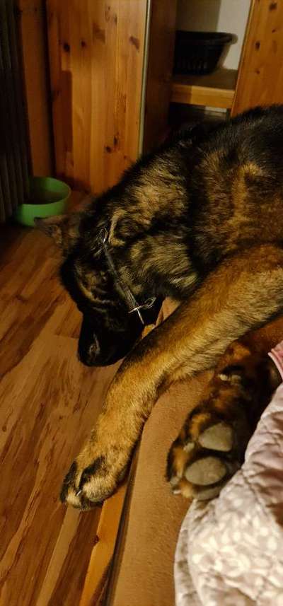 Die unbequemsten und lustigsten Schlafpositionen-Beitrag-Bild