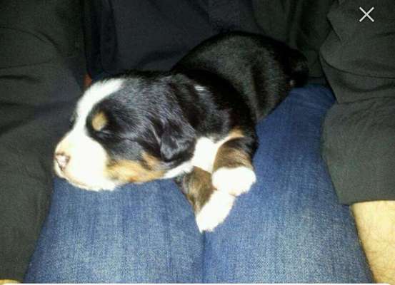 Das erste Foto-Beitrag-Bild