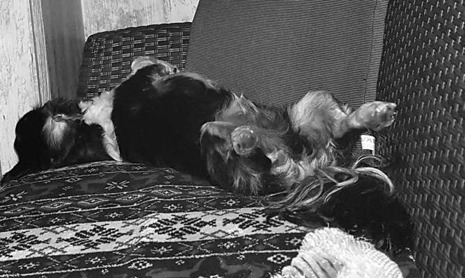 Lustige Grimassen & verrückte Posen-Beitrag-Bild