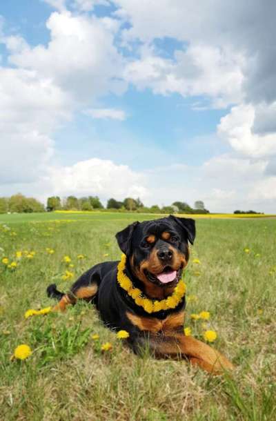 Fotowettbewerb Natur-Beitrag-Bild