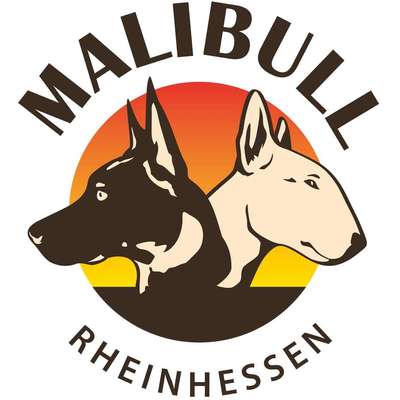 Hundeschulen-MALIBULL Rheinhessen-Bild