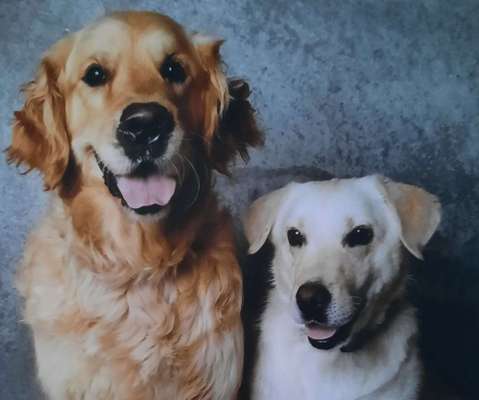 Fotochallenge 69-Beitrag-Bild