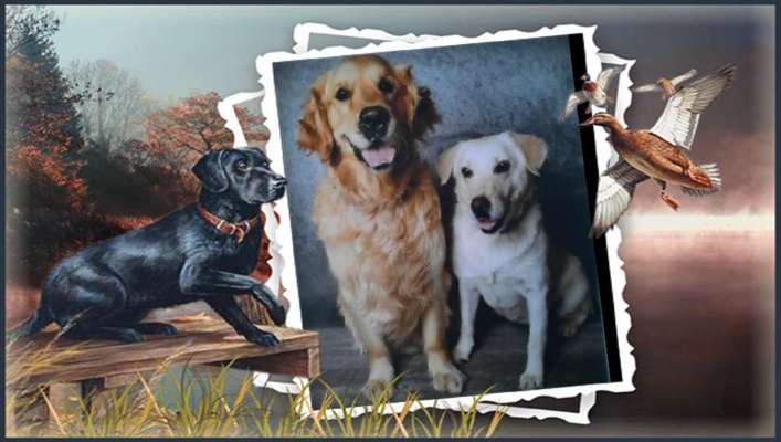 Lieblings Fotos-Beitrag-Bild