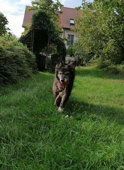 Foto-Challenge Nr. 90: Lebensfreude-Beitrag-Bild