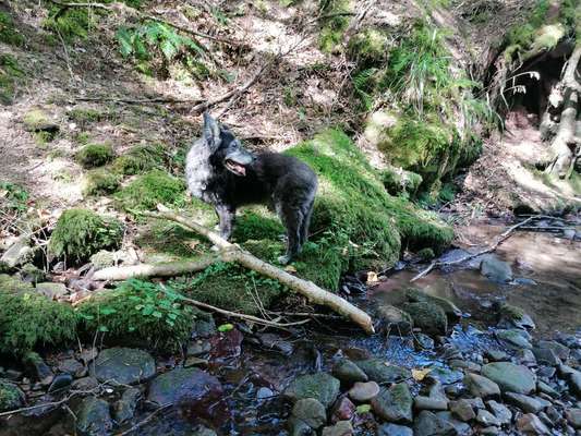 Theos Fotochallange Nummer 4-Beitrag-Bild