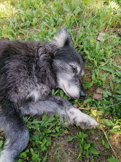 FOTO-Challenge  NR. 91: Die pure Entspannung-Beitrag-Bild