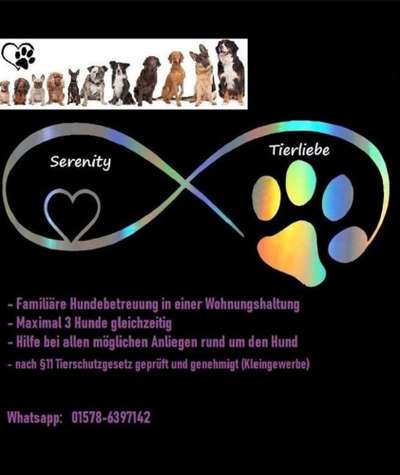 Hundepensionen-Serenity Tierliebe Hundebetreuung Saarland-Bild