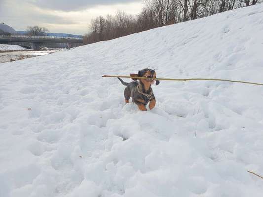 Challenge Nr. 15
Spiel im Schnee-Beitrag-Bild