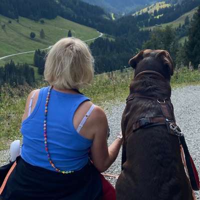 Hundetreffen-Gassi Gehen und Trainieren-Profilbild