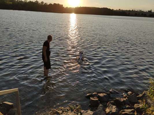 Theos Fotochallange Nummer 4-Beitrag-Bild