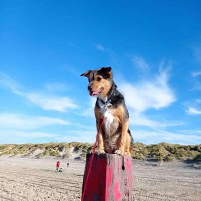 Zeigt eure Portraits-Beitrag-Bild