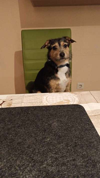 Doppelgänger gesucht !-Beitrag-Bild