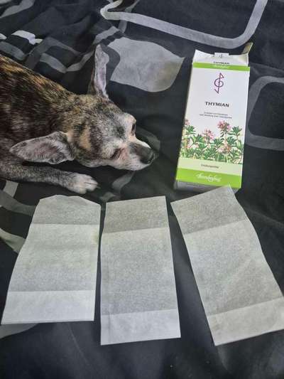 Teebeutelsuche-Beitrag-Bild