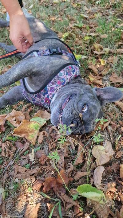 Handy-Foto-Challange Nr.9-Beitrag-Bild