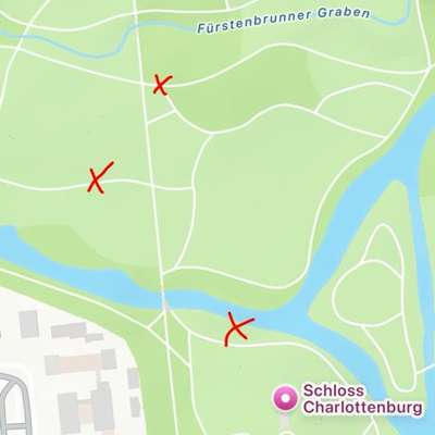 Giftköder-Eichenprozessionsspinner-Bild