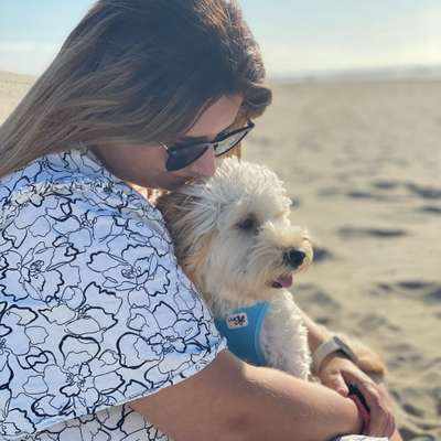 Hundetreffen-Gassirunde