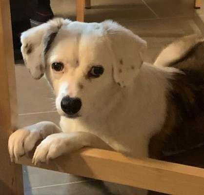 Lieblingsbild-Beitrag-Bild