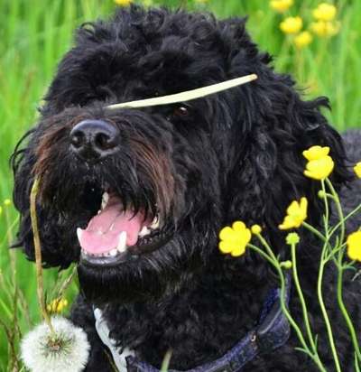 Lieblingsbild-Beitrag-Bild