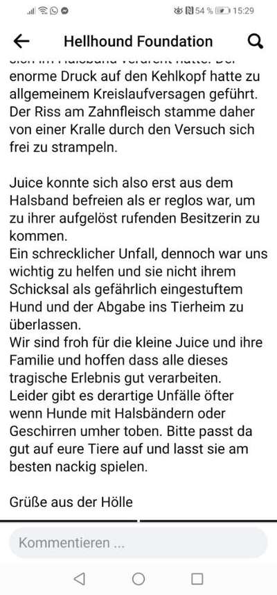 Gefahr durch Halsband beim Spielen-Beitrag-Bild