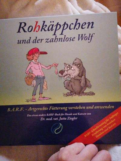 Innereien ersetzen-Beitrag-Bild