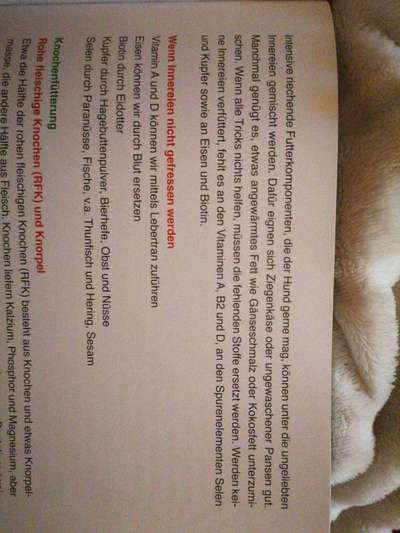 Innereien ersetzen-Beitrag-Bild