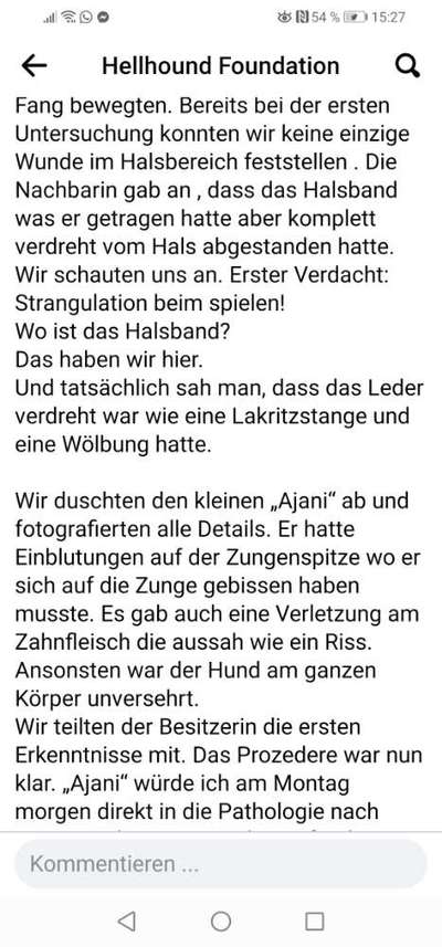 Gefahr durch Halsband beim Spielen-Beitrag-Bild