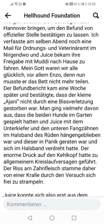 Gefahr durch Halsband beim Spielen-Beitrag-Bild