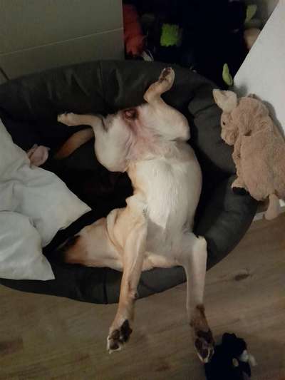 Fotochallenge Nr.65-Beitrag-Bild