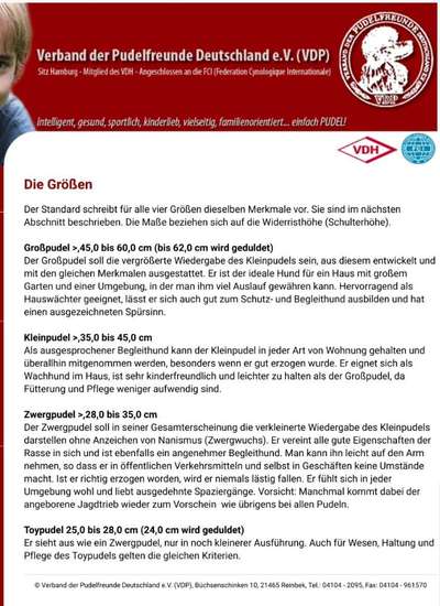 Alles rund um den Pudel-Beitrag-Bild