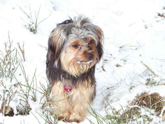 Lieblingsbild-Beitrag-Bild