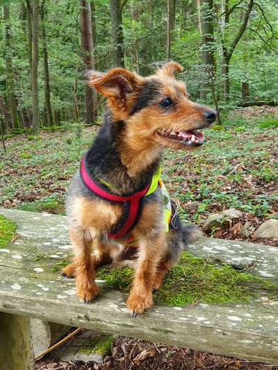 Lieblingsbild-Beitrag-Bild