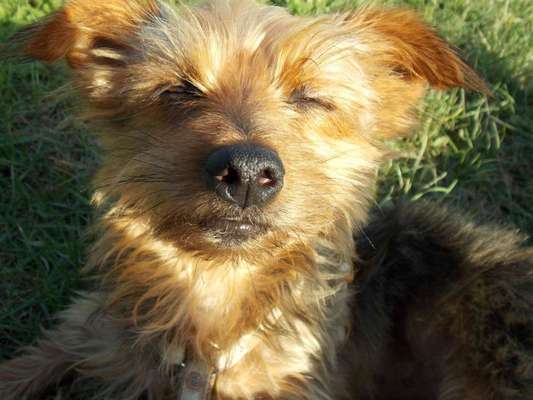 Lieblingsbild-Beitrag-Bild