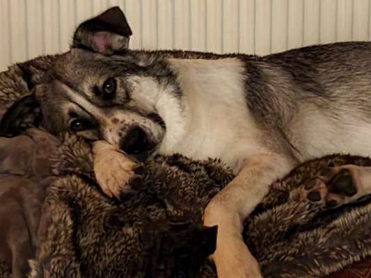 Lieblingsbild-Beitrag-Bild