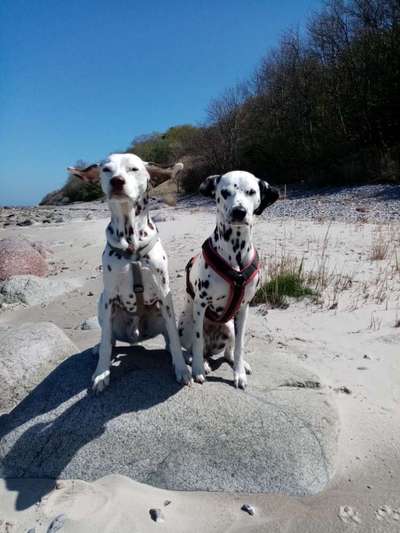 28. Farben Foto Challenge * BEIGE *-Beitrag-Bild