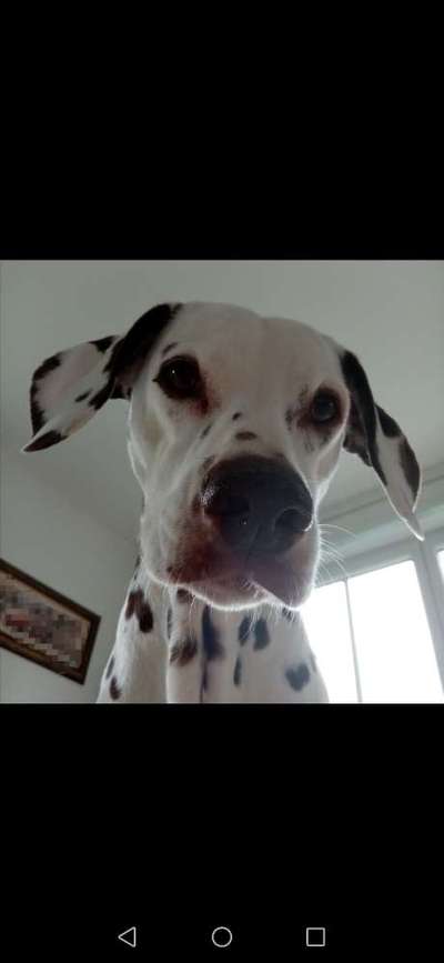 23. Handy Foto-Challenge-Beitrag-Bild