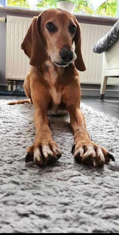 Fotochallenge Nr. 67: Euer Lieblingsbild-Beitrag-Bild