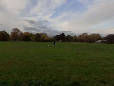 Hundeauslaufgebiet-Wetterpark Wiese Offenbach-Bild