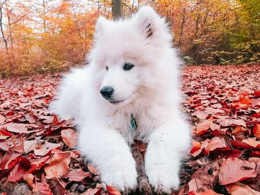 Foto Challenge 3-Beitrag-Bild