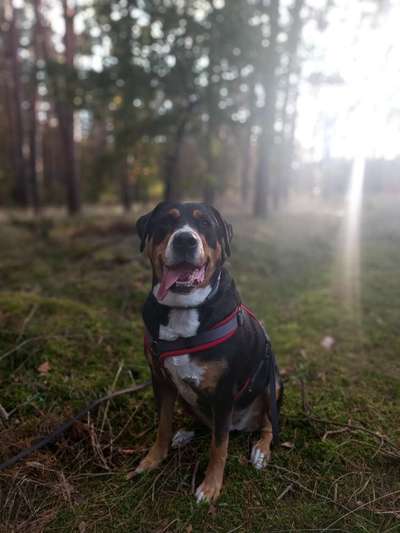 Zeigt eure Portraits-Beitrag-Bild