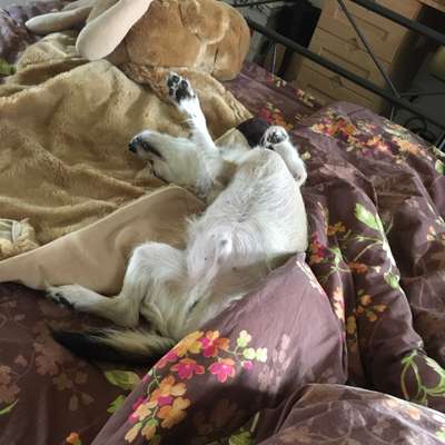 Die unbequemsten und lustigsten Schlafpositionen-Beitrag-Bild